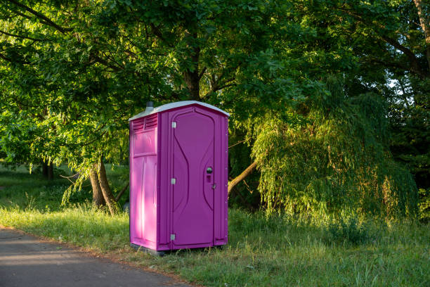 Best Affordable portable toilet rental  in South Rockwood, MI